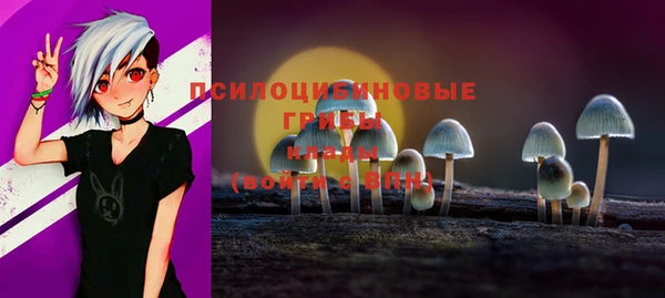ПСИЛОЦИБИНОВЫЕ ГРИБЫ Белокуриха