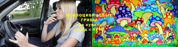 ПСИЛОЦИБИНОВЫЕ ГРИБЫ Белокуриха